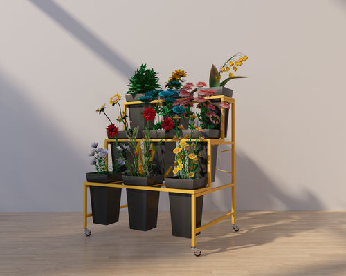 La flor de la profundidad de la altura 590m m del mueble 796m m exhibe el estante tres capas